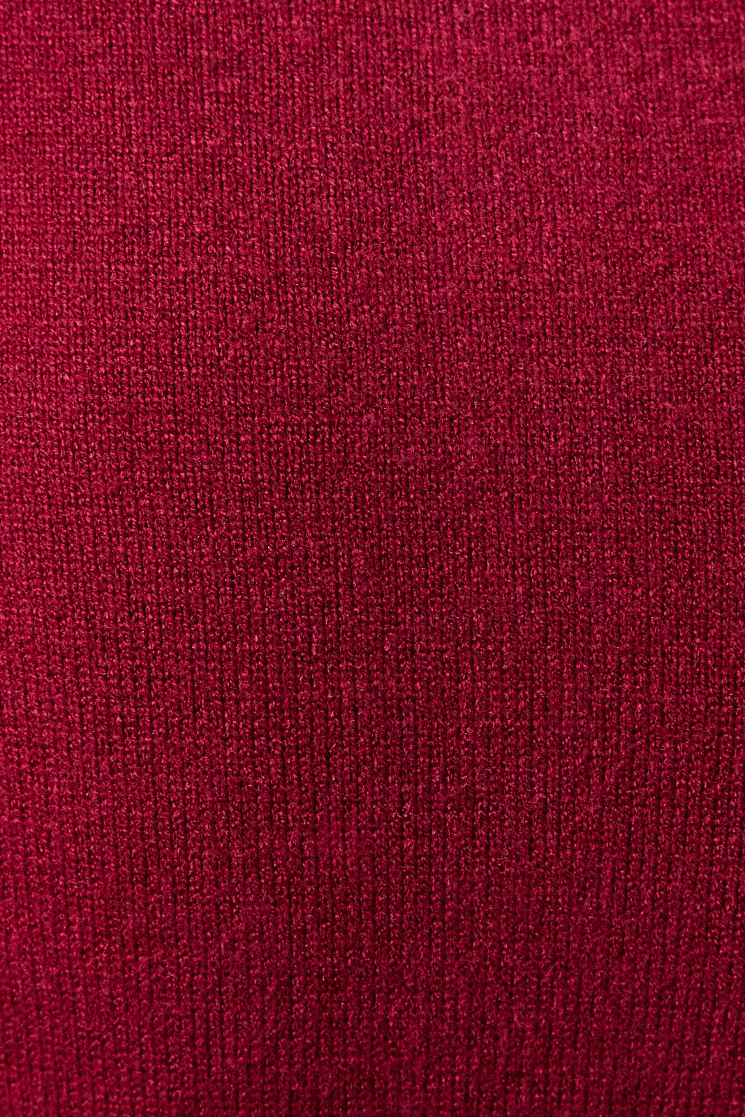 Collard Short Sleeve Sweater Top