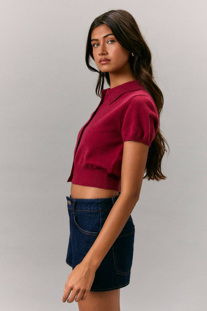 Collard Short Sleeve Sweater Top