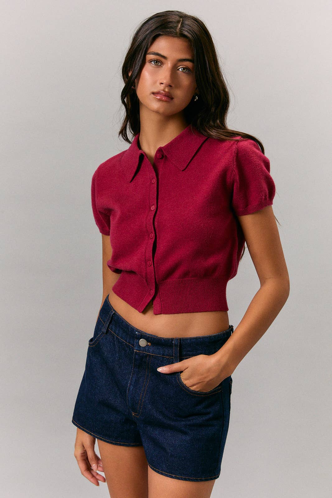 Collard Short Sleeve Sweater Top