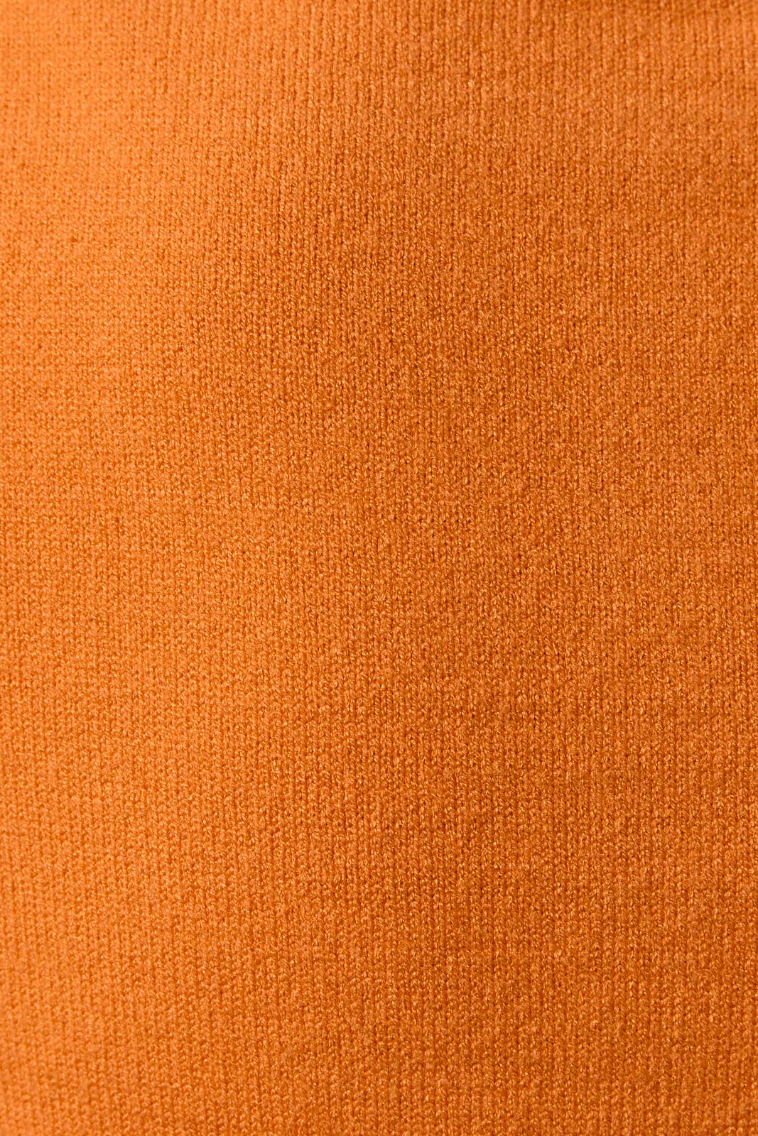 Collard Short Sleeve Sweater Top